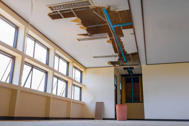 Best Flood damage cleanup  in Throop, PA