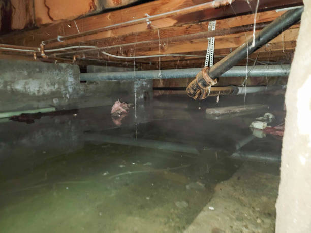 Best Fire Damage Restoration  in Throop, PA