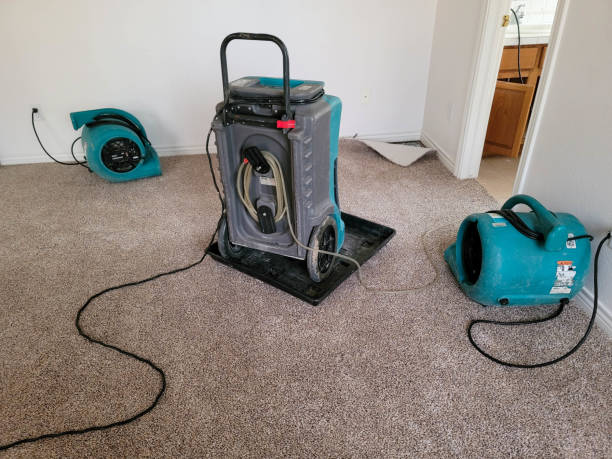 Best Basement water damage restoration  in Throop, PA