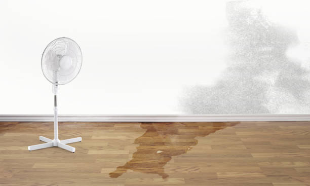 Best Flood restoration services  in Throop, PA