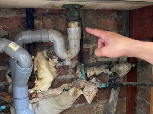 Best Mold removal after water damage  in Throop, PA