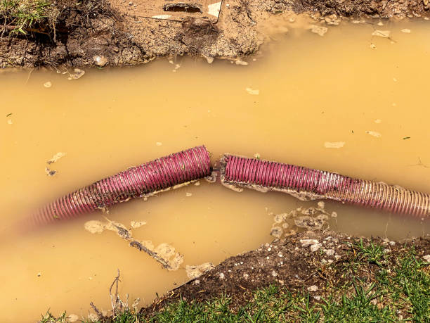Best Water damage cleanup near me  in Throop, PA