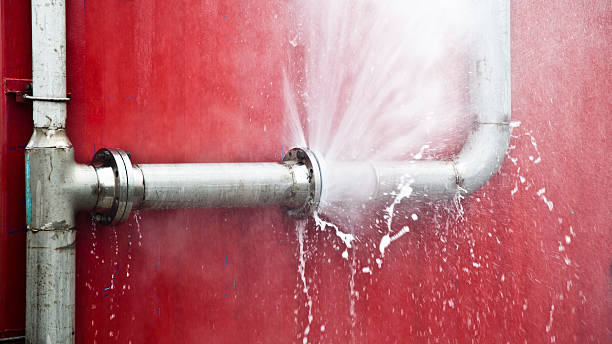  Throop, PA Water damage restoration Pros